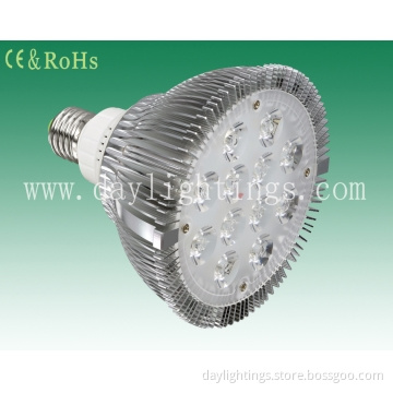 High Power Par38 12w with CE and RoHS - daylighting5